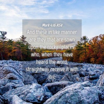 Picture 04 - Mark 4:16 ASV - And these in like manner are they that are sown - Bible Verse Picture