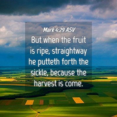 Picture 04 - Mark 4:29 ASV - But when the fruit is ripe, straightway he - Bible Verse Picture