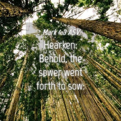 Picture 04 - Mark 4:3 ASV - Hearken: Behold, the sower went forth to - Bible Verse Picture
