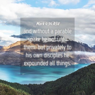 Picture 04 - Mark 4:34 ASV - and without a parable spake he not unto them: but - Bible Verse Picture