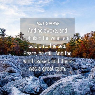 Picture 04 - Mark 4:39 ASV - And he awoke, and rebuked the wind, and said unto - Bible Verse Picture