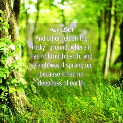 Picture 04 - Mark 4:5 ASV - And other fell on the rocky `ground', where it - Bible Verse Picture