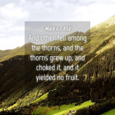 Picture 04 - Mark 4:7 ASV - And other fell among the thorns, and the thorns - Bible Verse Picture