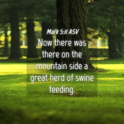 Picture 04 - Mark 5:11 ASV - Now there was there on the mountain side a great - Bible Verse Picture