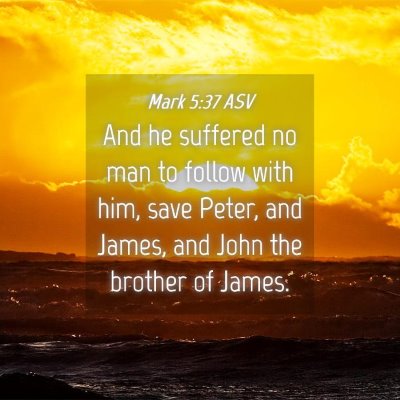 Picture 04 - Mark 5:37 ASV - And he suffered no man to follow with him, save - Bible Verse Picture