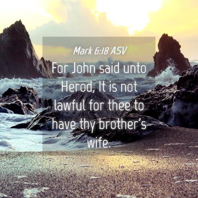 Picture 04 - Mark 6:18 ASV - For John said unto Herod, It is not lawful for - Bible Verse Picture
