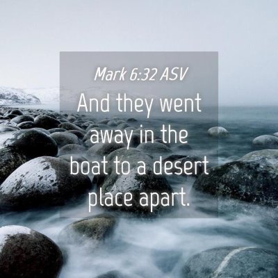 Picture 04 - Mark 6:32 ASV - And they went away in the boat to a desert place - Bible Verse Picture