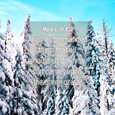 Picture 04 - Mark 6:39 ASV - And he commanded them that all should sit down by - Bible Verse Picture