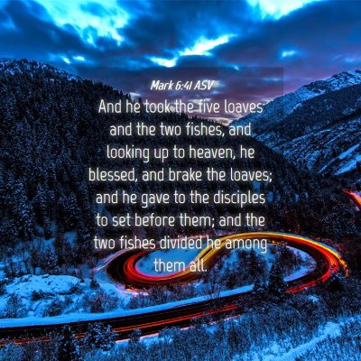 Picture 04 - Mark 6:41 ASV - And he took the five loaves and the two fishes, - Bible Verse Picture