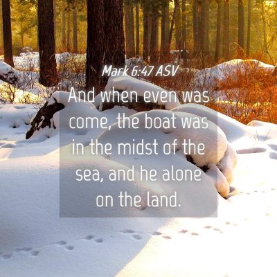 Picture 04 - Mark 6:47 ASV - And when even was come, the boat was in the midst - Bible Verse Picture