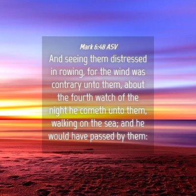 Picture 04 - Mark 6:48 ASV - And seeing them distressed in rowing, for the - Bible Verse Picture