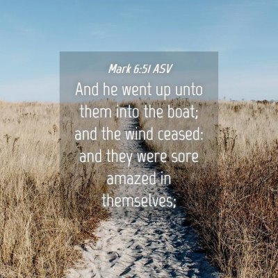 Picture 04 - Mark 6:51 ASV - And he went up unto them into the boat; and the - Bible Verse Picture