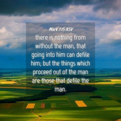 Picture 04 - Mark 7:15 ASV - there is nothing from without the man, that going - Bible Verse Picture
