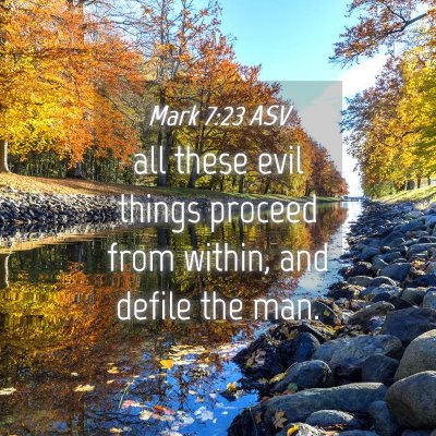 Picture 04 - Mark 7:23 ASV - all these evil things proceed from within, and - Bible Verse Picture