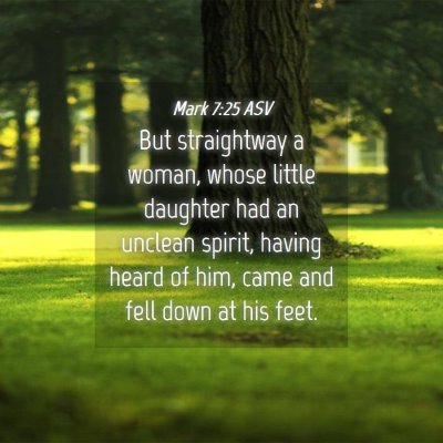 Picture 04 - Mark 7:25 ASV - But straightway a woman, whose little daughter - Bible Verse Picture