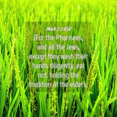 Picture 04 - Mark 7:3 ASV - (For the Pharisees, and all the Jews, except they - Bible Verse Picture