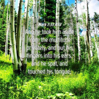 Picture 04 - Mark 7:33 ASV - And he took him aside from the multitude - Bible Verse Picture
