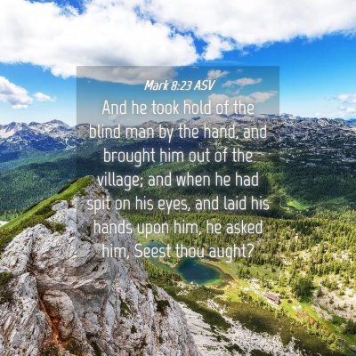 Picture 04 - Mark 8:23 ASV - And he took hold of the blind man by the hand, - Bible Verse Picture