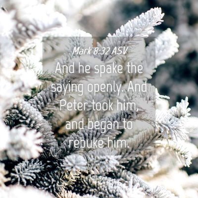 Picture 04 - Mark 8:32 ASV - And he spake the saying openly. And Peter took - Bible Verse Picture