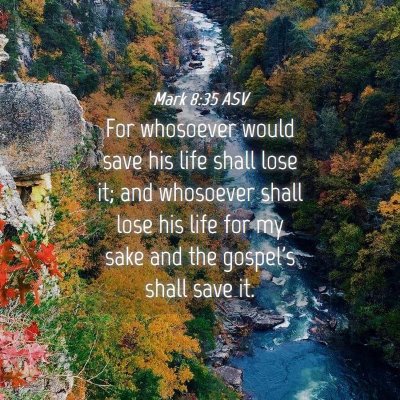 Picture 04 - Mark 8:35 ASV - For whosoever would save his life shall lose it; - Bible Verse Picture