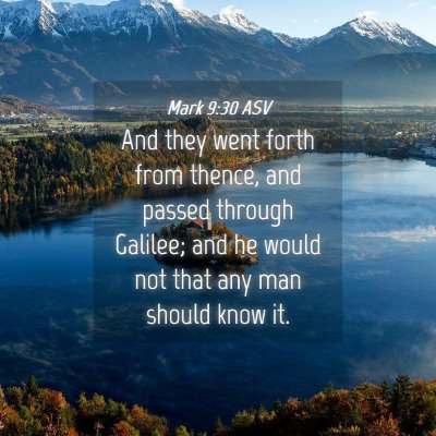 Picture 04 - Mark 9:30 ASV - And they went forth from thence, and passed - Bible Verse Picture