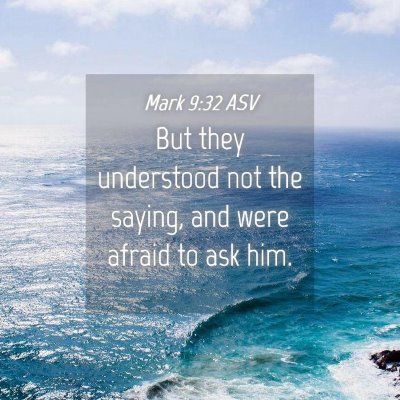 Picture 04 - Mark 9:32 ASV - But they understood not the saying, and were - Bible Verse Picture