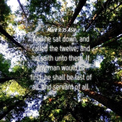 Picture 04 - Mark 9:35 ASV - And he sat down, and called the twelve; and he - Bible Verse Picture