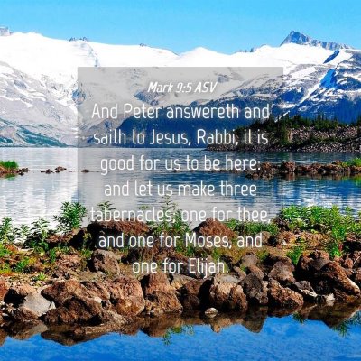 Picture 04 - Mark 9:5 ASV - And Peter answereth and saith to Jesus, Rabbi, it - Bible Verse Picture