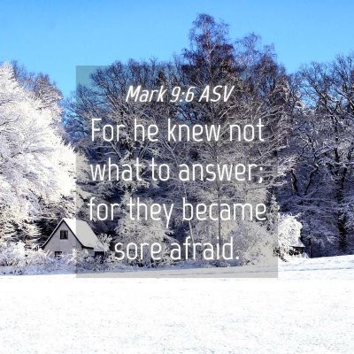 Picture 04 - Mark 9:6 ASV - For he knew not what to answer; for they became - Bible Verse Picture