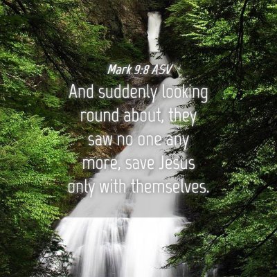 Picture 04 - Mark 9:8 ASV - And suddenly looking round about, they saw no one - Bible Verse Picture