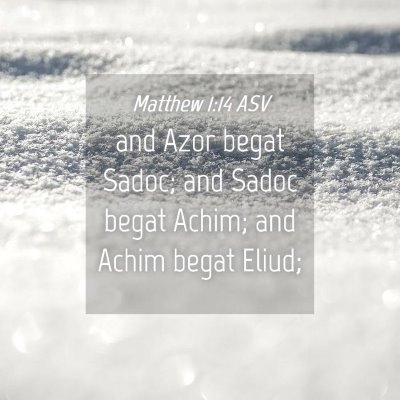 Picture 04 - Matthew 1:14 ASV - and Azor begat Sadoc; and Sadoc begat Achim; and - Bible Verse Picture