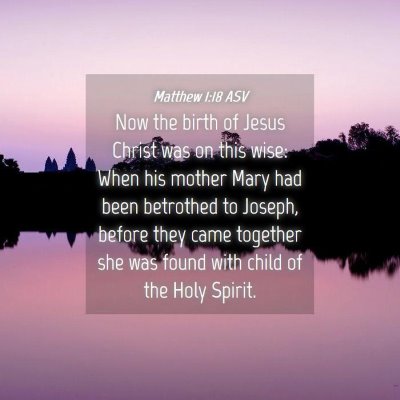 Picture 04 - Matthew 1:18 ASV - Now the birth of Jesus Christ was on this wise: - Bible Verse Picture