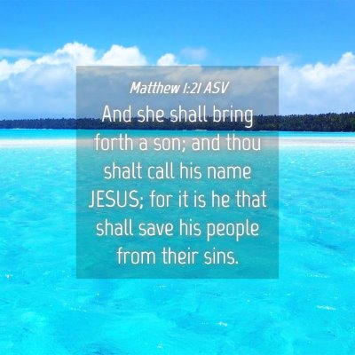 Picture 04 - Matthew 1:21 ASV - And she shall bring forth a son; and thou shalt - Bible Verse Picture