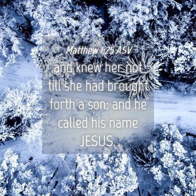 Picture 04 - Matthew 1:25 ASV - and knew her not till she had brought forth a - Bible Verse Picture