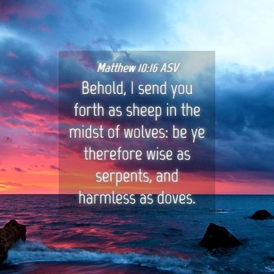 Picture 04 - Matthew 10:16 ASV - Behold, I send you forth as sheep in the midst of - Bible Verse Picture