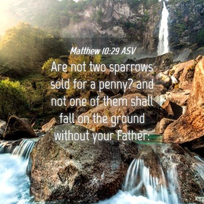 Picture 04 - Matthew 10:29 ASV - Are not two sparrows sold for a penny? and not - Bible Verse Picture