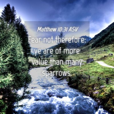 Picture 04 - Matthew 10:31 ASV - Fear not therefore: ye are of more value than - Bible Verse Picture