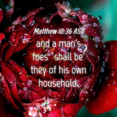 Picture 04 - Matthew 10:36 ASV - and a man's foes `shall be' they of his own - Bible Verse Picture