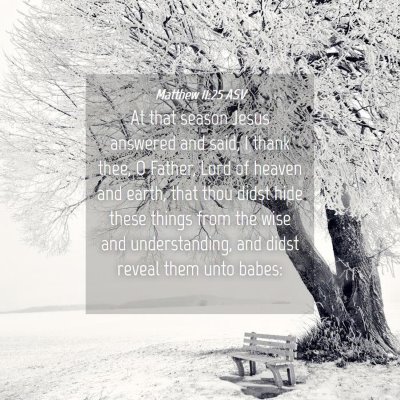 Picture 04 - Matthew 11:25 ASV - At that season Jesus answered and said, I thank - Bible Verse Picture