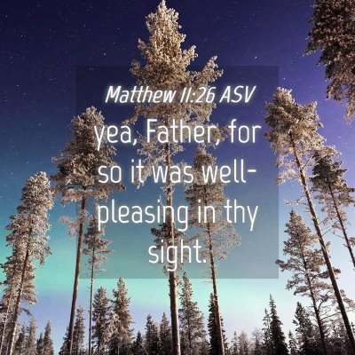 Picture 04 - Matthew 11:26 ASV - yea, Father, for so it was well-pleasing in thy - Bible Verse Picture