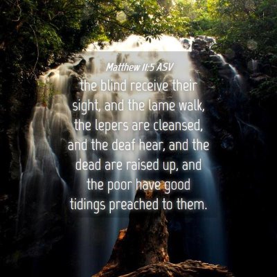 Picture 04 - Matthew 11:5 ASV - the blind receive their sight, and the lame walk, - Bible Verse Picture
