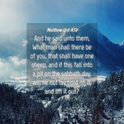 Picture 04 - Matthew 12:11 ASV - And he said unto them, What man shall there be of - Bible Verse Picture