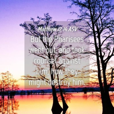 Picture 04 - Matthew 12:14 ASV - But the Pharisees went out, and took counsel - Bible Verse Picture