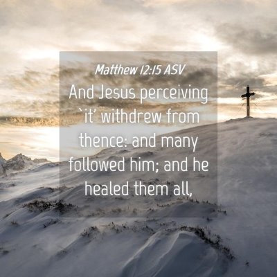 Picture 04 - Matthew 12:15 ASV - And Jesus perceiving `it' withdrew from thence: - Bible Verse Picture