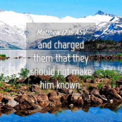 Picture 04 - Matthew 12:16 ASV - and charged them that they should not make him - Bible Verse Picture