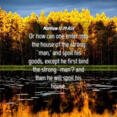 Picture 04 - Matthew 12:29 ASV - Or how can one enter into the house of the strong - Bible Verse Picture