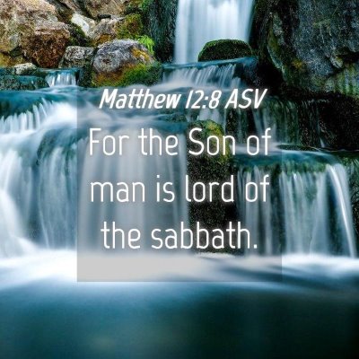 Picture 04 - Matthew 12:8 ASV - For the Son of man is lord of the - Bible Verse Picture