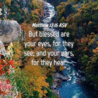 Picture 04 - Matthew 13:16 ASV - But blessed are your eyes, for they see; and your - Bible Verse Picture