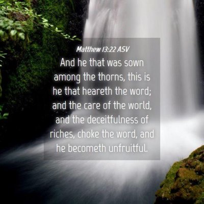 Picture 04 - Matthew 13:22 ASV - And he that was sown among the thorns, this is he - Bible Verse Picture