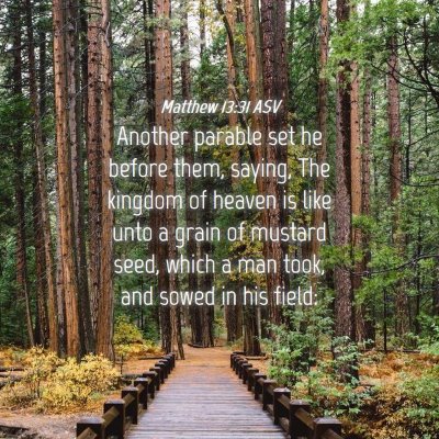 Picture 04 - Matthew 13:31 ASV - Another parable set he before them, saying, The - Bible Verse Picture